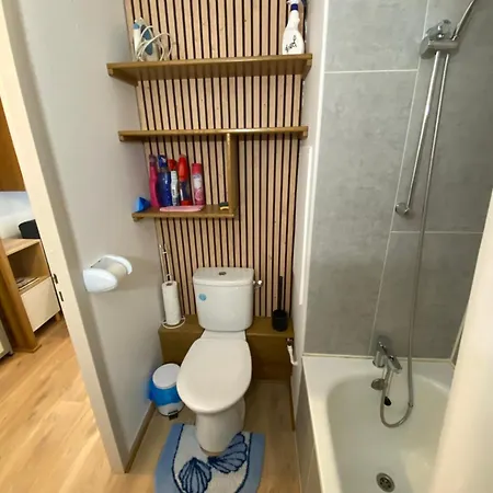 Au Pied Des Telecabines Apartment *